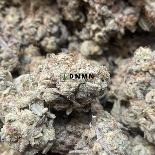 Tangerine Dream - Online Dispensary Canada - Dispensary Near Me Now