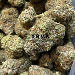 Apple Runtz - Close Bud View - Dispensary Near Me