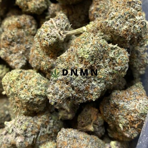 Apple Runtz - Close Bud View - Dispensary Near Me