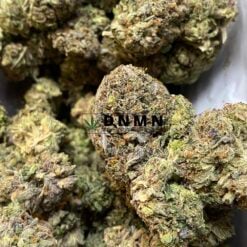 Black Rhino OG Kush - Close Bud View - Dispensary Near Me