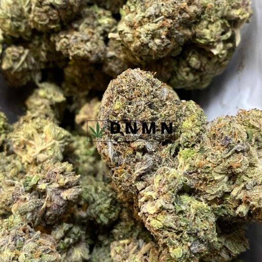 Black Rhino OG Kush - Close Bud View - Dispensary Near Me