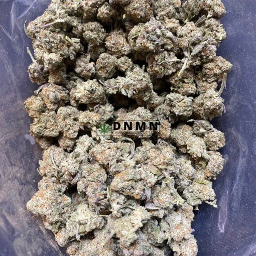Cat Piss - Cheap Weed Canada - Dispensary Near Me Now