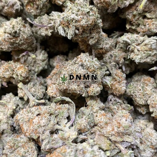 Cat Piss - Online Dispensary Canada - Dispensary Near Me Now