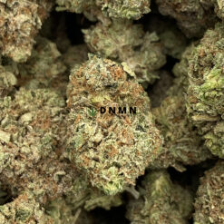 Chemdawg - Online Dispensary Canada - Dispensary Near Me Now
