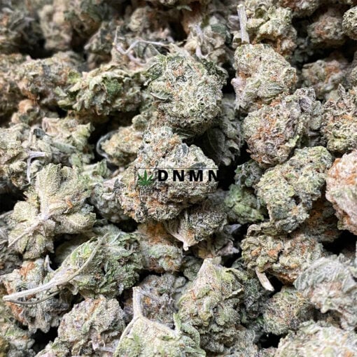 Chemdawg - Online Dispensary Canada - Dispensary Near Me Now