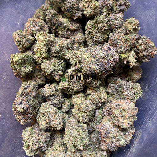 Greasy Rockstar - Cheap Weed Canada - Dispensary Near Me Now