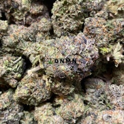 Greasy Rockstar - Online Dispensary Canada - Dispensary Near Me Now