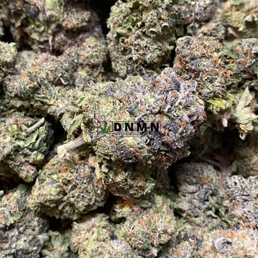 Greasy Rockstar - Online Dispensary Canada - Dispensary Near Me Now