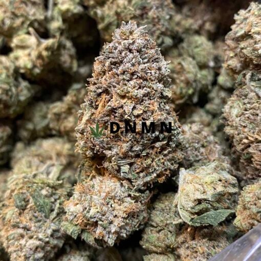 Green Kush - Close Bud View - Dispensary Near Me
