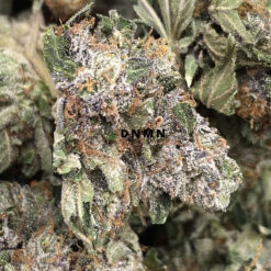 Holy Grail Kush - Online Dispensary Canada - Dispensary Near Me Now