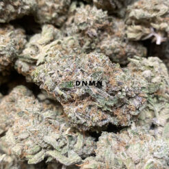 Lemon Skunk - Cheap Weed Canada - Dispensary Near Me Now