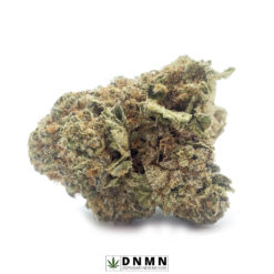 Mango Haze - Buy Weed Online - Dispensary Near Me Now