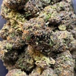 Purple Bubba Kush - Close Bud View - Dispensary Near Me
