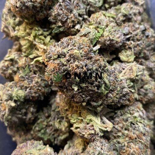 Purple Bubba Kush - Close Bud View - Dispensary Near Me