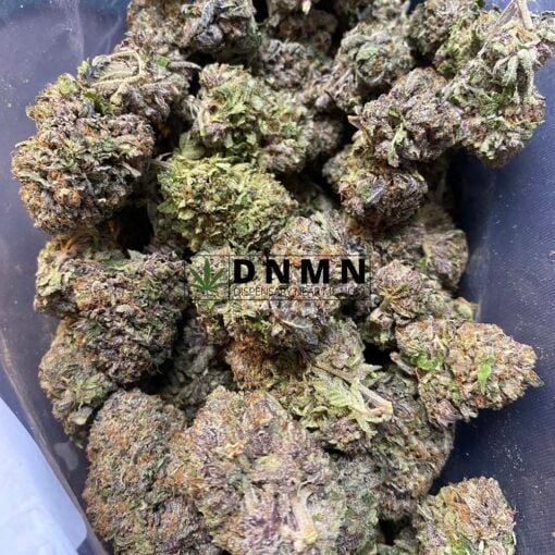 Purple Bubba Kush - Half Pound Top View - Dispensary Near Me