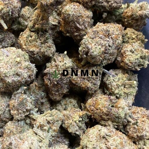 Purple Crack - Close Bud View - Dispensary Near Me