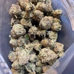 Purple Crack - Half Pound Top View - Dispensary Near Me