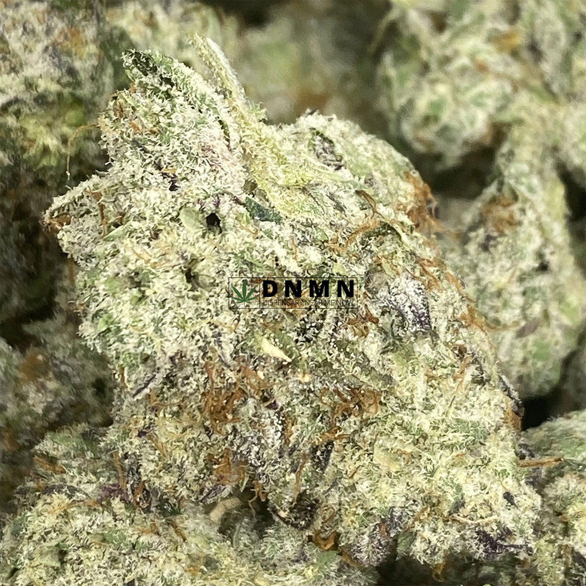 Purple Khalifa Kush - Online Dispensary Canada - Dispensary Near Me Now