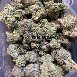 Purple Kush - Half Pound Top View - Dispensary Near Me