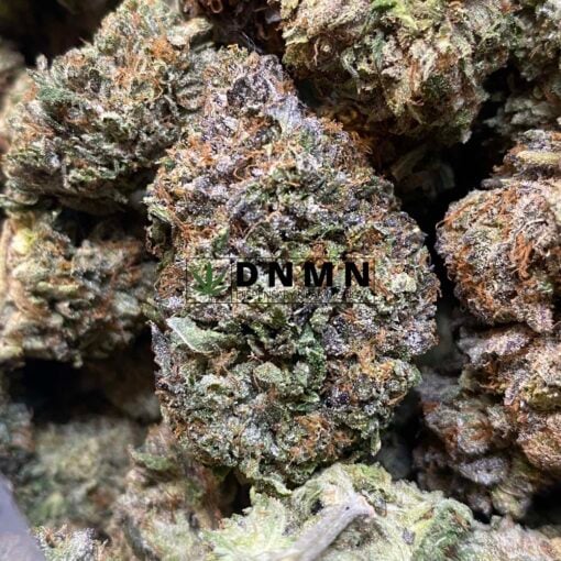 Purple Rockstar Kush - Close Bud View - Dispensary Near Me
