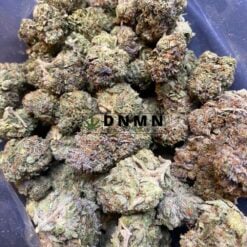 Purple Rockstar Kush - Half Pound Top View - Dispensary Near Me