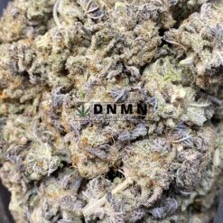 Slurricane - Close Bud View - Dispensary Near Me