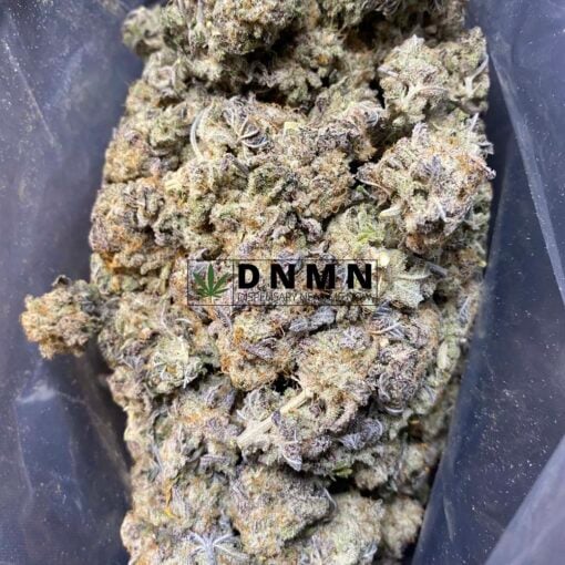 Slurricane - Half Pound Top View - Dispensary Near Me