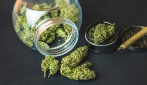 If you’re looking for a weed store online, this is exactly what you need. Here’s everything you need to know about picking right weed store.