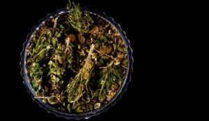 Looking ahead to a calming and relaxing evening after work or an unforgettable weekend? Discover the Tom Ford strain and what it's capable of. 