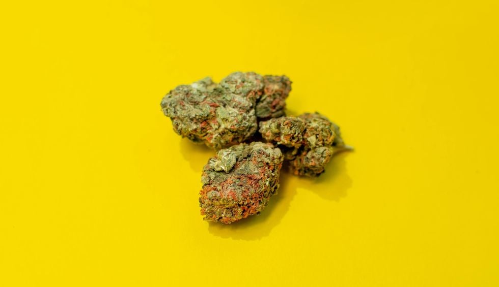 DispensaryNearMeNow is the leading cannabis store in Canada, specializing in premium cannabis products.
