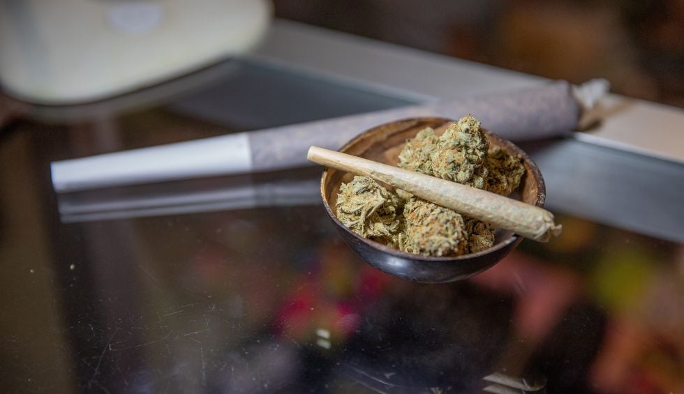 Whether you're a novice looking for low-THC products with mild effects or a seasoned stoner looking to get incredibly high, we've got your back.