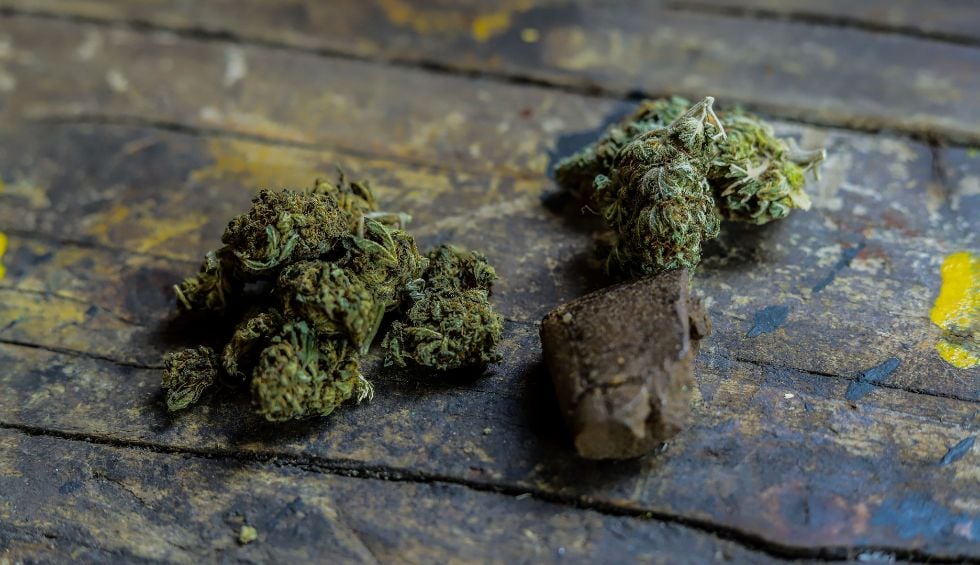 BC bud is known for its rich aroma, dense trichomes, and powerful effects. This is mostly because it is grown under the perfect mix of natural light, coastal climate, and generations of growing experience.