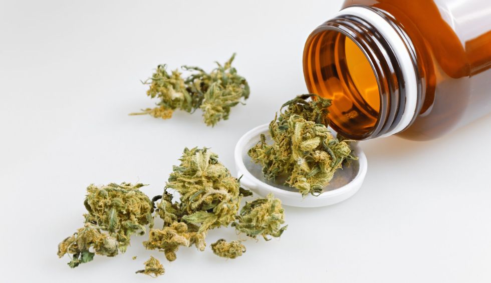Our online weed dispensary has a wide array of cannabinoid products, all sourced from reputable and trustworthy sources.
