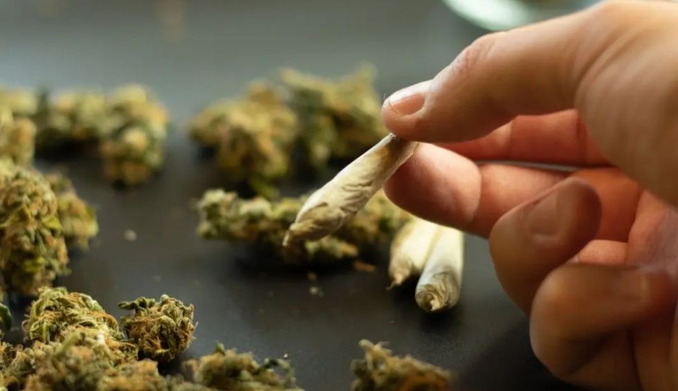 If you are looking to buy online pot the easy way, Dispensary Near Me Now has got you covered. 