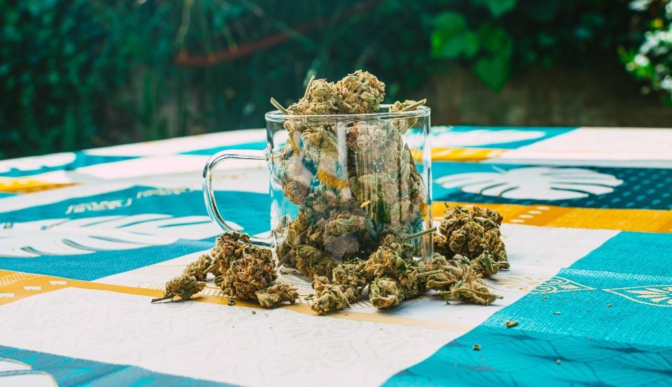 Here are three standout strains you can buy online at our dispensary—DispensaryNearMeNow