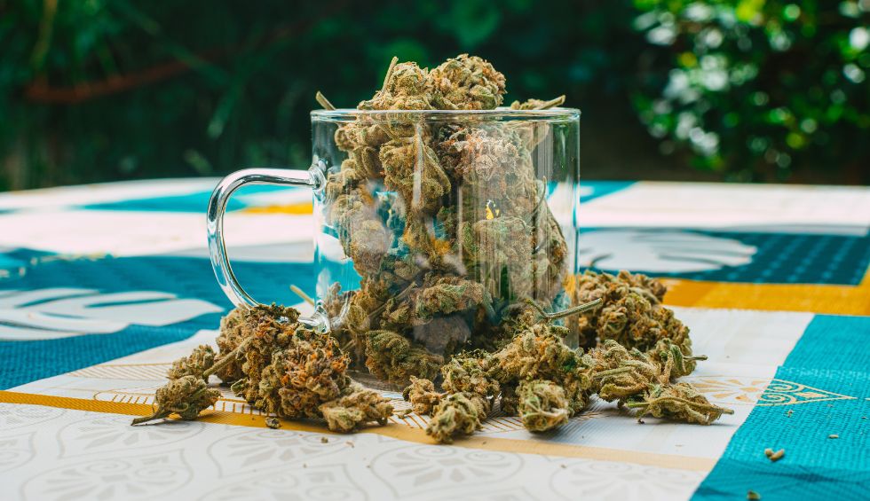 Are you looking for premium top shelf cannabis in Canada? Our online cannabis store carries the best quality cannabis.
