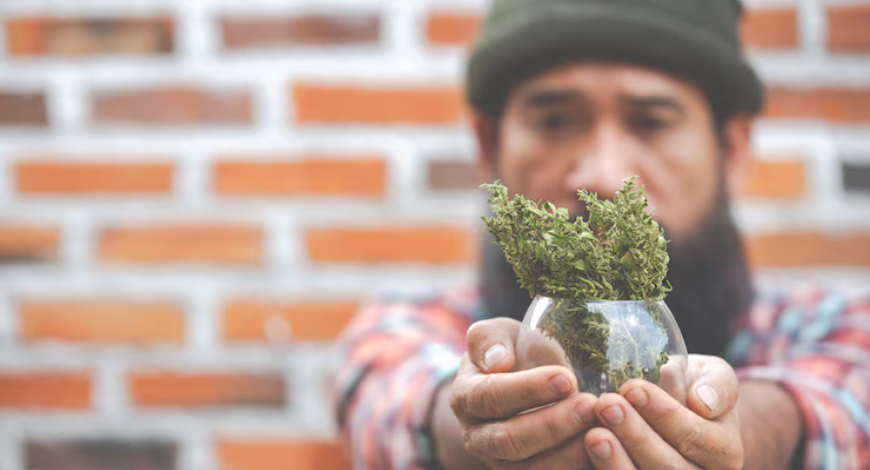 Man holding cannabis buds in a glass jar, symbolizing access to online pot in Canada