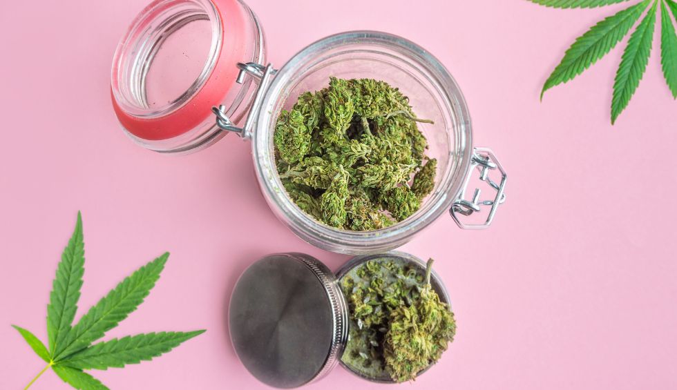 The term is used to describe buds that deliver consistent aroma, flavour, appearance, and potency.
