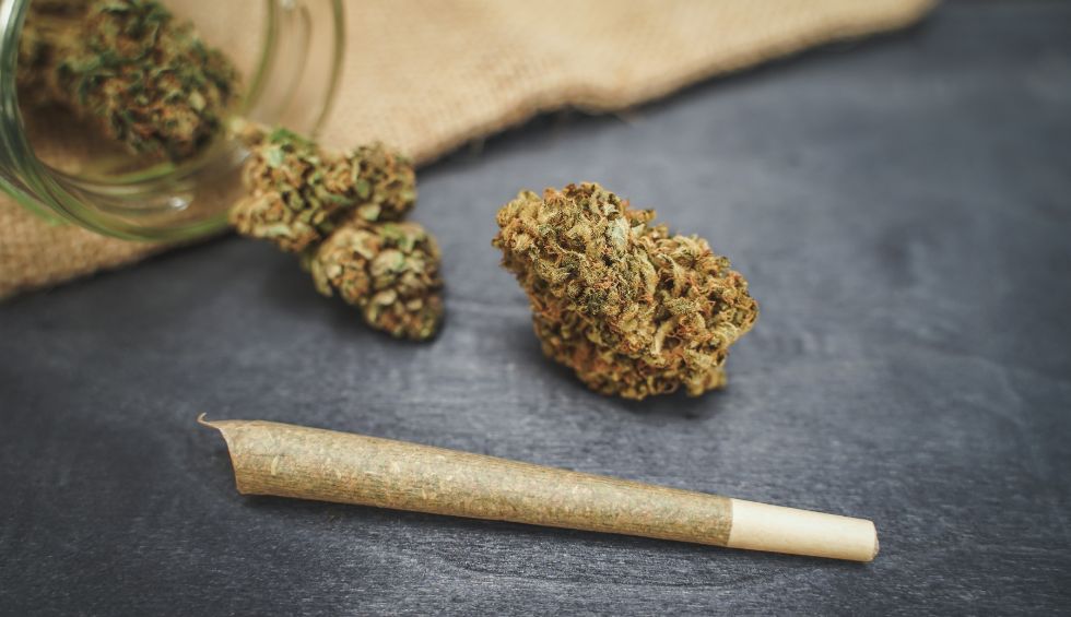 If you consider to buy cheap weed online in Canada, you're probably wondering if it's a good move.