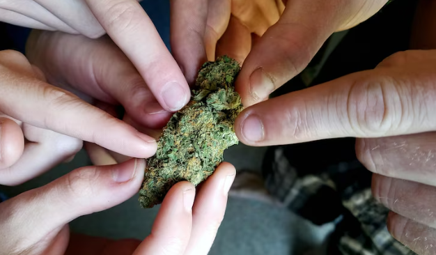 Choosing the Right Cannabis Consumption Methods for You