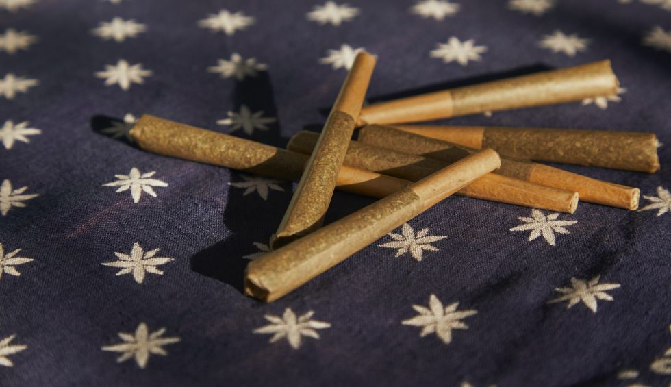 But before we get to what is better, blunts vs joints, let's first explore the difference between blunt and joint to understand them better.
