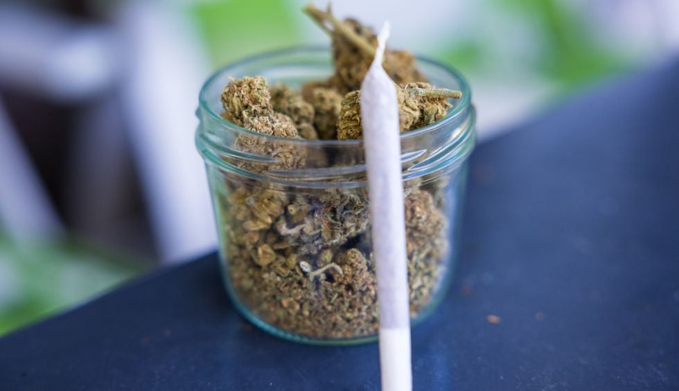 Donkey Butter is a catch. With at least 25% THC, bold cream & gas aroma, & an intense, hard-hitting high, this strain will get the job done.