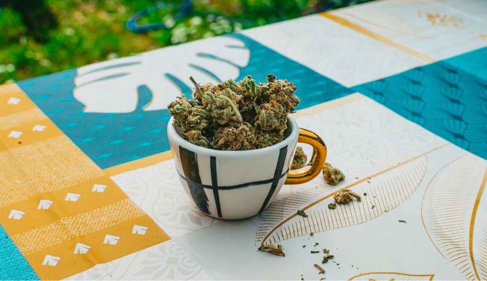 Are you looking for fast, reliable access to top-quality cannabis? Dispensary Near Me Now makes it easy to order weed online and get the strains you love delivered discreetly and quickly.