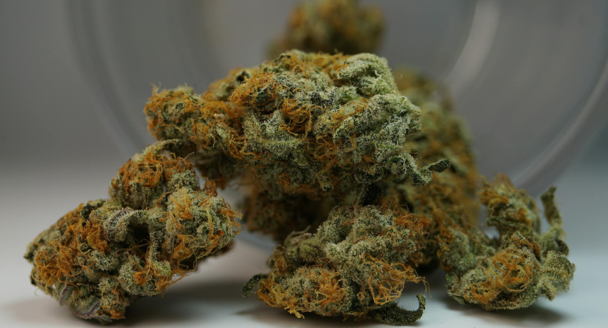 Premium weed products available at an online pot store in Canada, featuring top strains for purchase