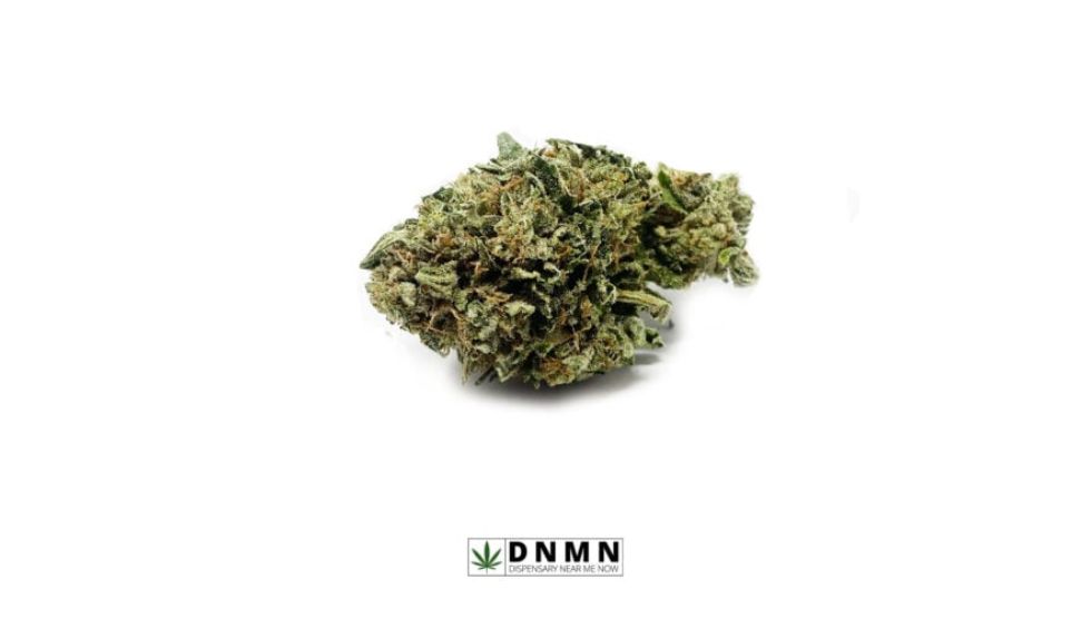 Godfather OG is loved for its pungent pine fragrance and earthy, woodsy notes. Its taste is just as fantastic, with grape-like notes that give it a fruity edge.