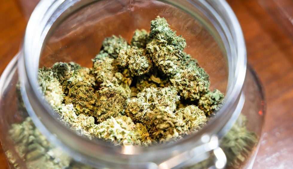 Gods Green Crack is a balanced hybrid cannabis strain that blends the uplifting energy of Sativa with the calming body relaxation of Indica.