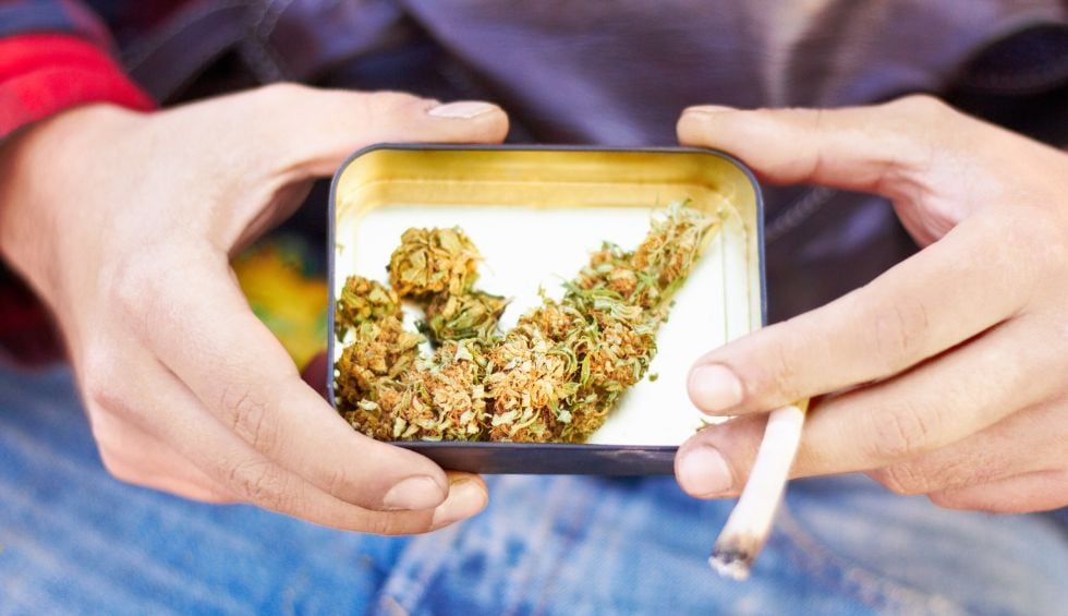The best Gods Green Crack strain stands out through its appearance. The buds are high-quality and often have a dense structure.