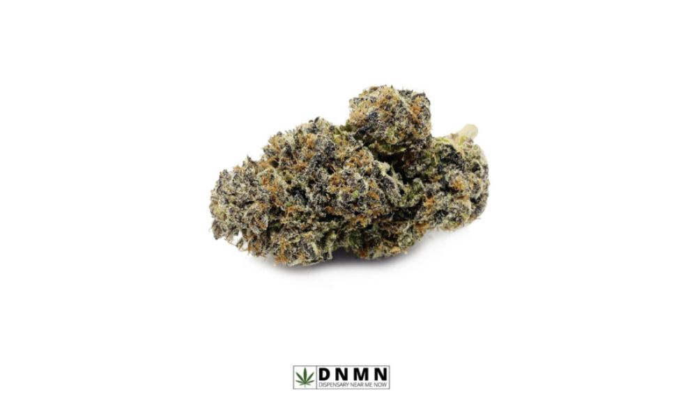 If you’ve been looking for pot from Vancouver, BC, it doesn’t get better than Grapefruit Diesel. This is an indica-dominant hybrid created by Next Generation Seeds, a reputable company from British Columbia.
