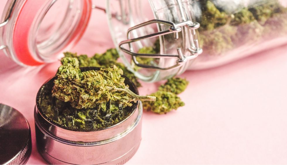 Grease Monkey is a 70% sativa-leaning hybrid with a creamy-diesel aroma & taste. It has 25%-30% THC, making it suitable for stoners.