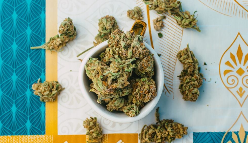 The Grease Monkey weed strain is a flavourful and aromatic cultivar that delivers a unique cannabis experience.